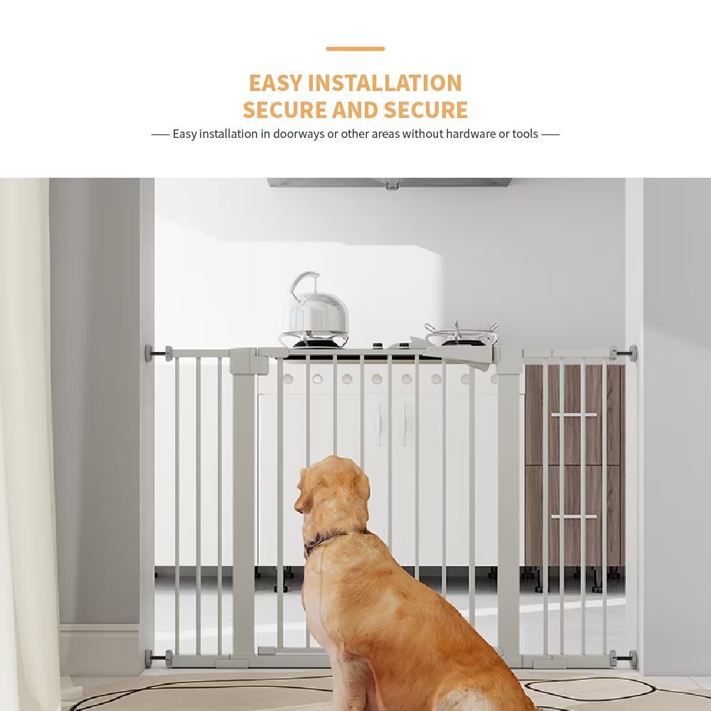 High White dog Safety Gate