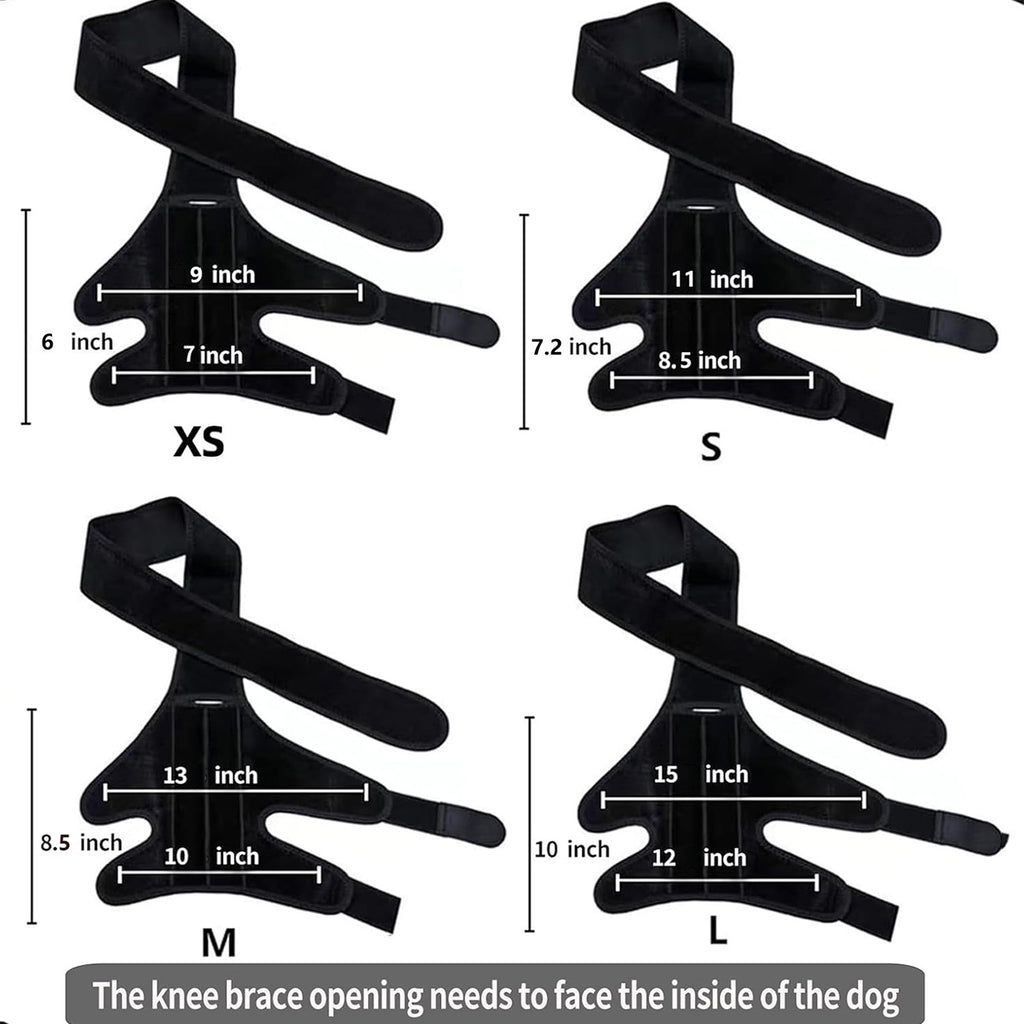 Pet  Gear Dog Leg Injury Assistance Support