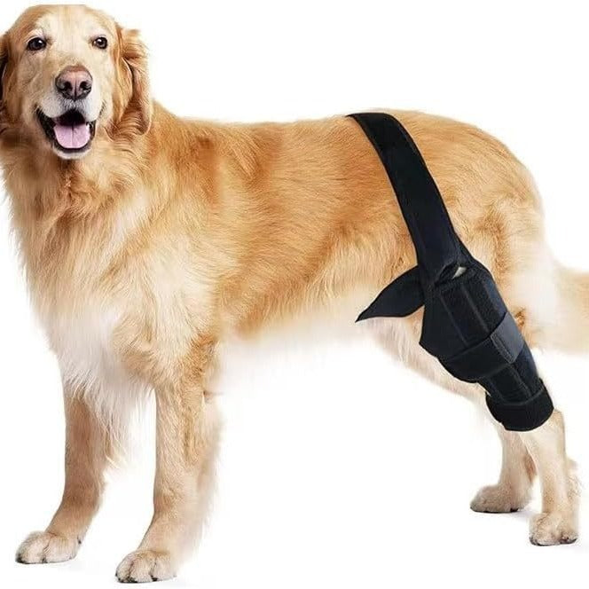 Pet  Gear Dog Leg Injury Assistance Support