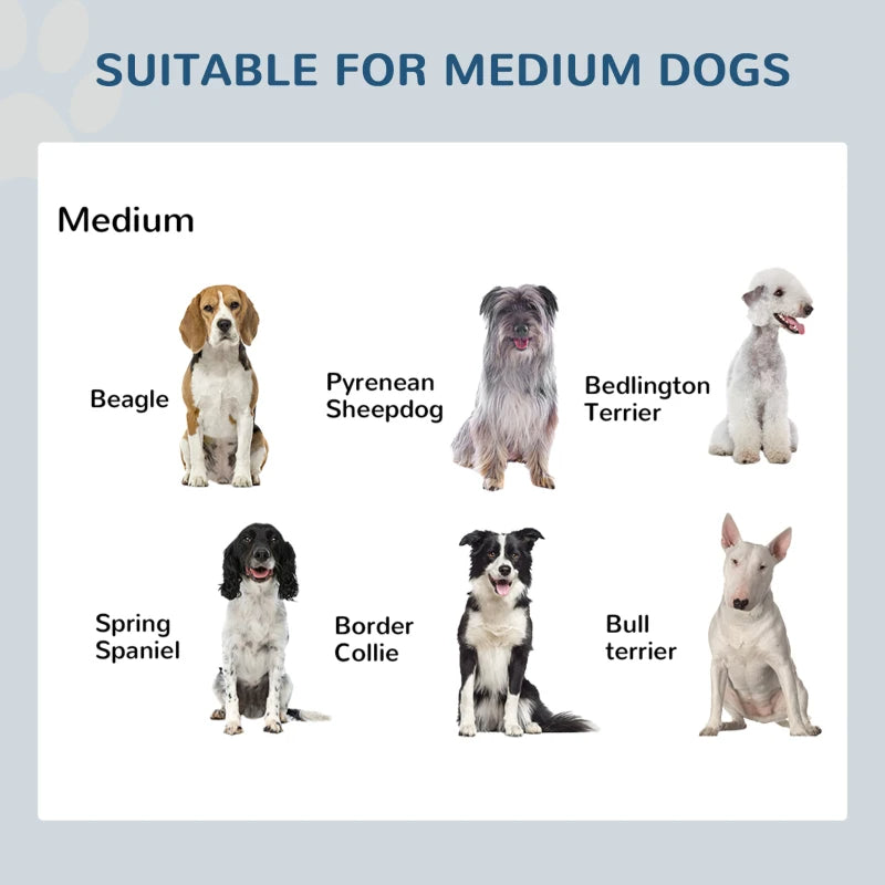 Double Stainless Steel Dog Food Bowl