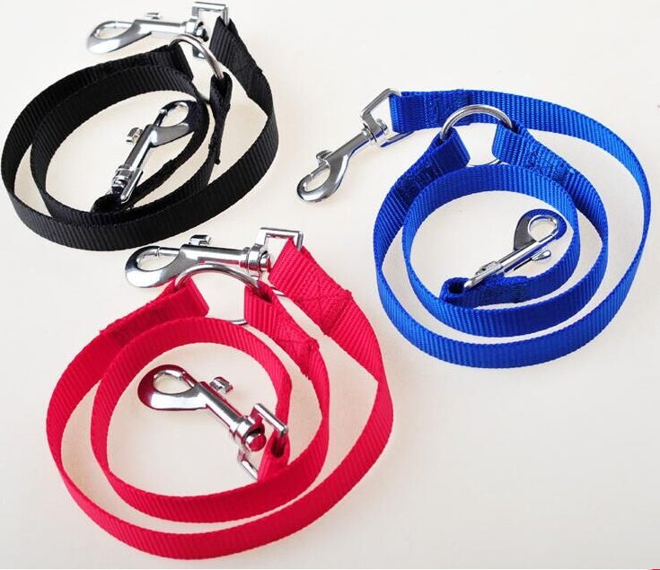WALK 2 Two DOGS Leash
