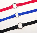 WALK 2 Two DOGS Leash