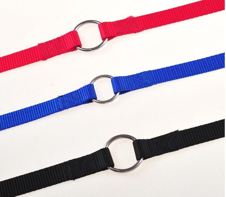 WALK 2 Two DOGS Leash