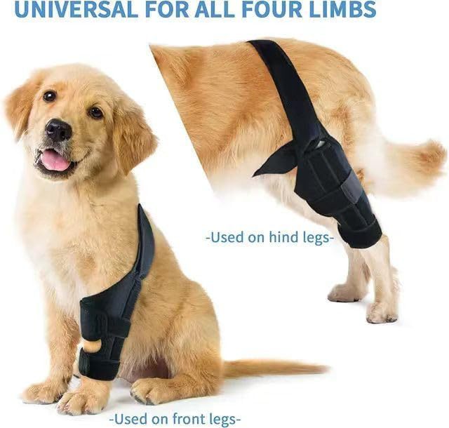 Pet  Gear Dog Leg Injury Assistance Support