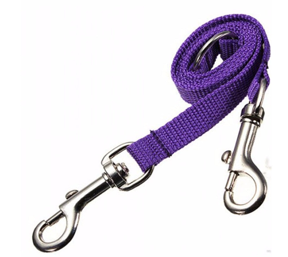 WALK 2 Two DOGS Leash