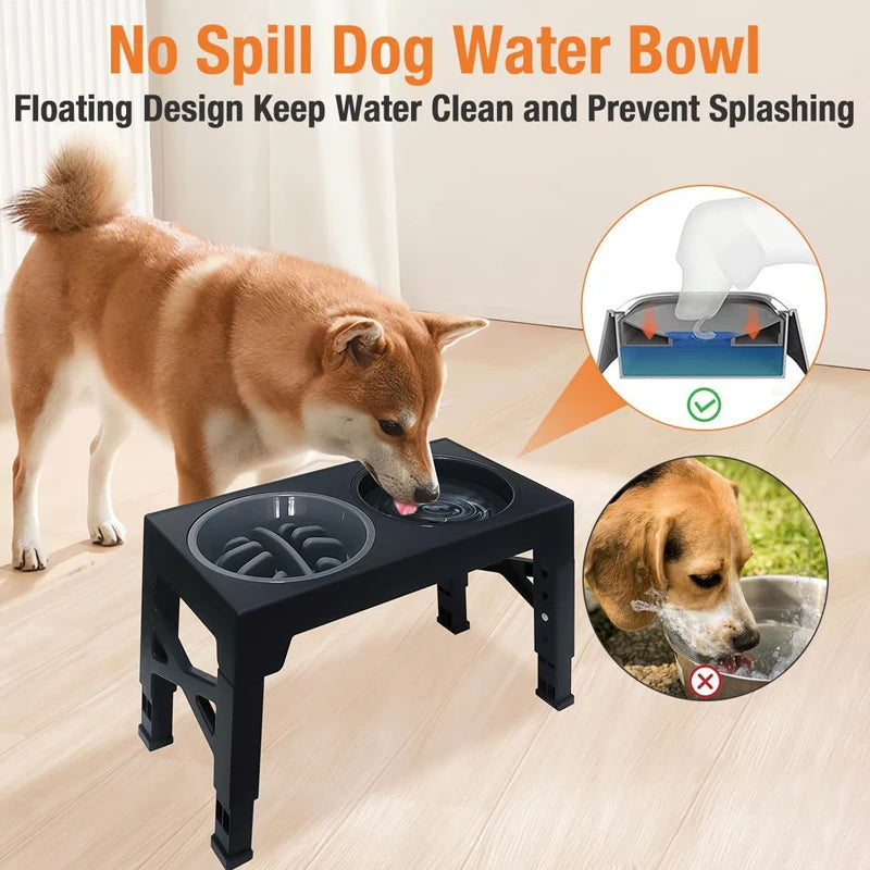 Elevated Dog Feeder with Adjustable Raised Stand