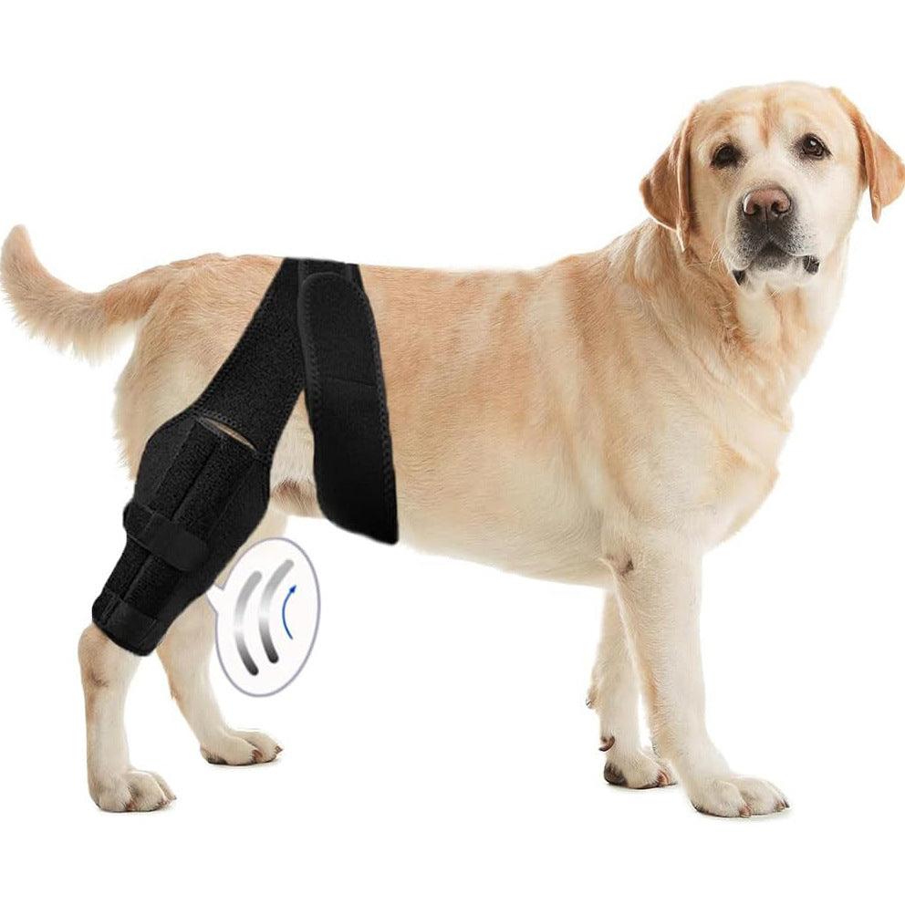 Pet  Gear Dog Leg Injury Assistance Support