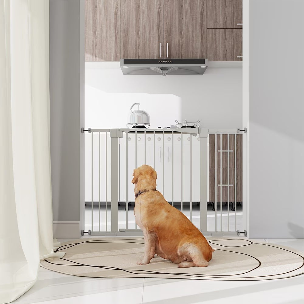 High White dog Safety Gate